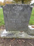 image of grave number 348552